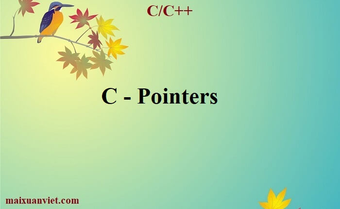 C - Pointers - VietMX's Blog