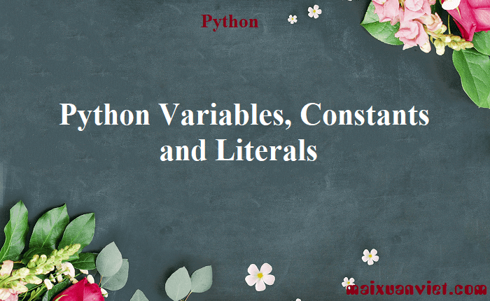 Python Variables, Constants and Literals - VietMX's Blog