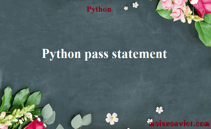 Python pass statement - VietMX's Blog