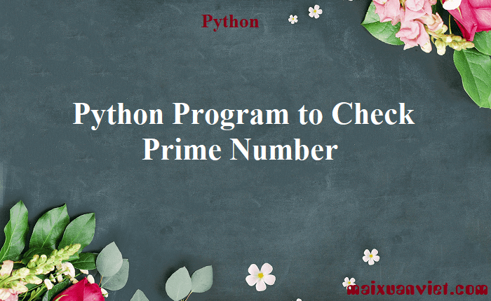 Python Program to Check Prime Number - VietMX's Blog