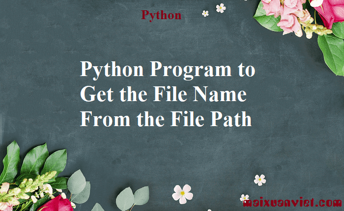 Python Program to Get the File Name From the File Path - VietMX's Blog