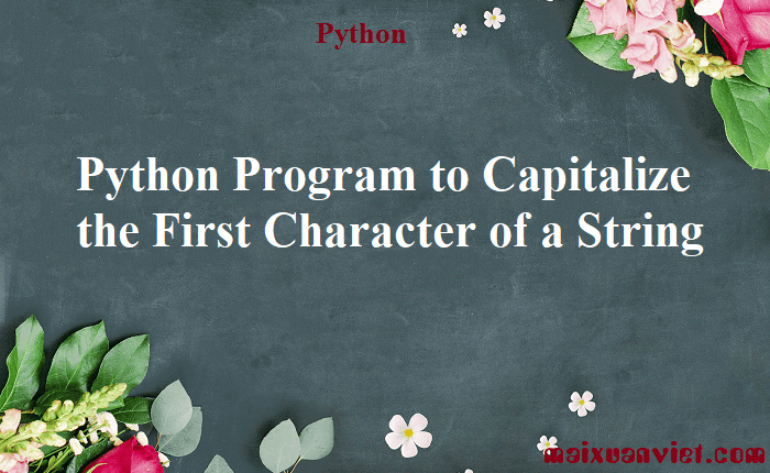 Python Program to Capitalize the First Character of a String - VietMX's ...