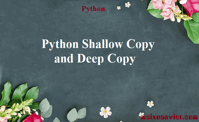 Python Shallow Copy and Deep Copy - VietMX's Blog