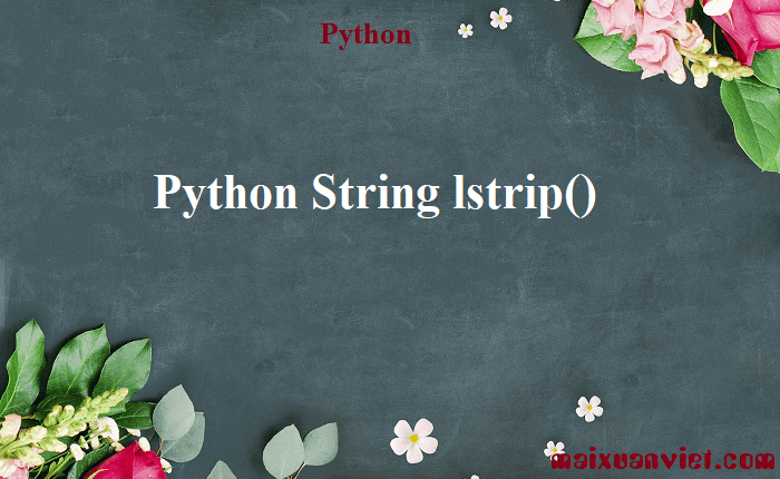 Python String lstrip() - VietMX's Blog