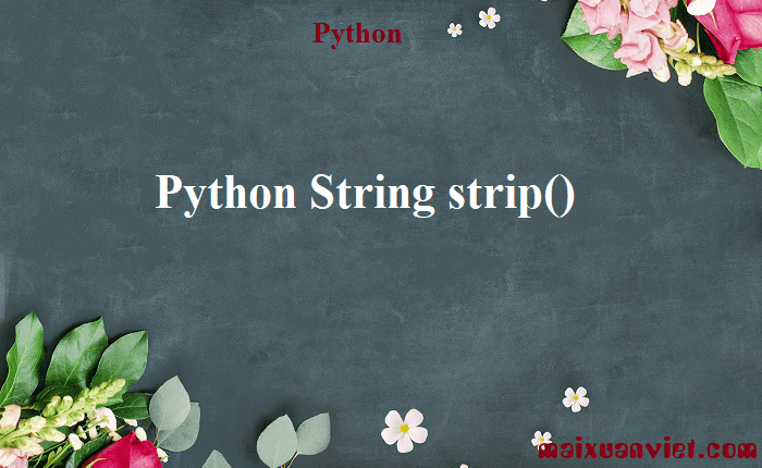 Python String strip() - VietMX's Blog