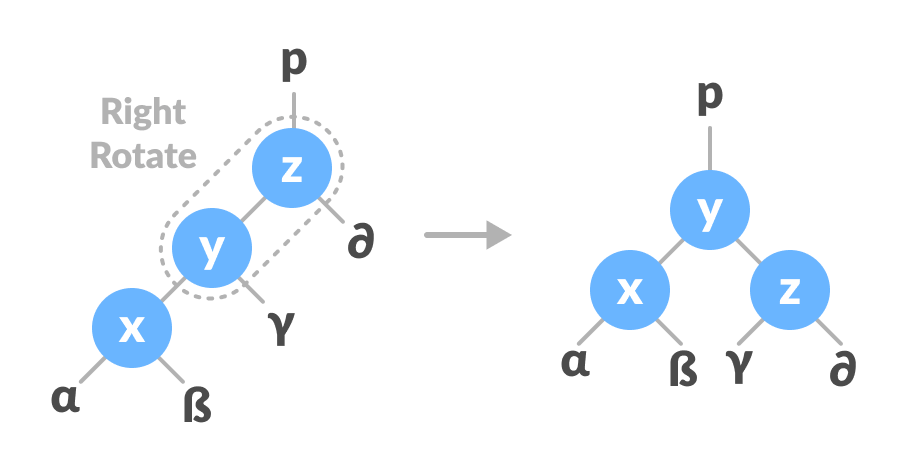 left-right rotate