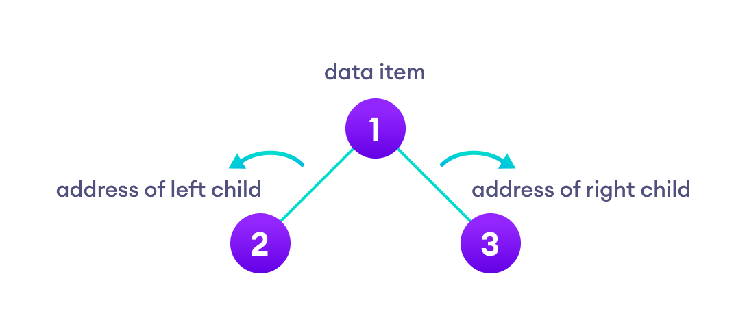 Binary Tree Binary Tree