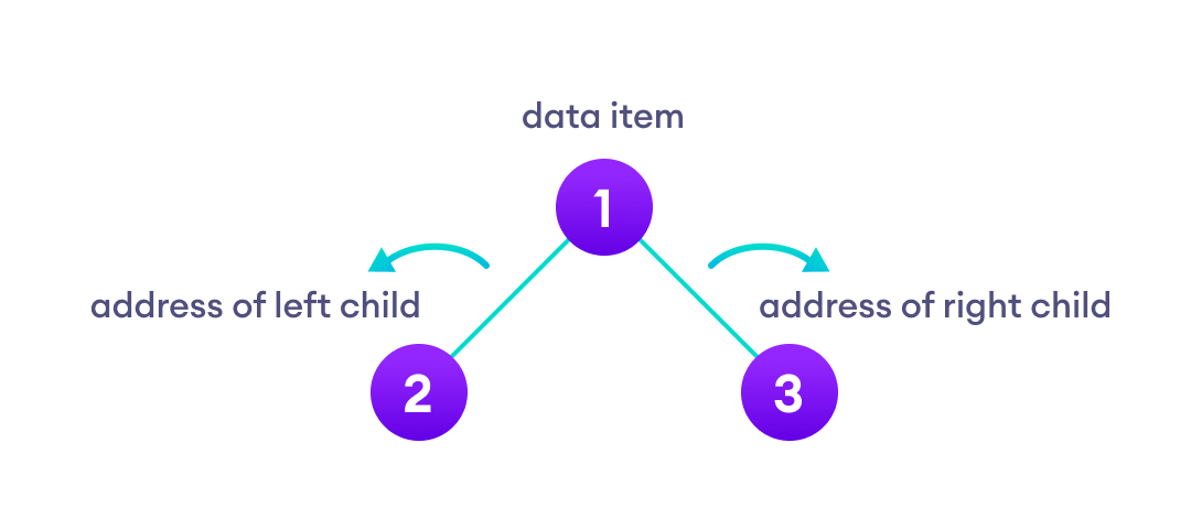 Binary Tree