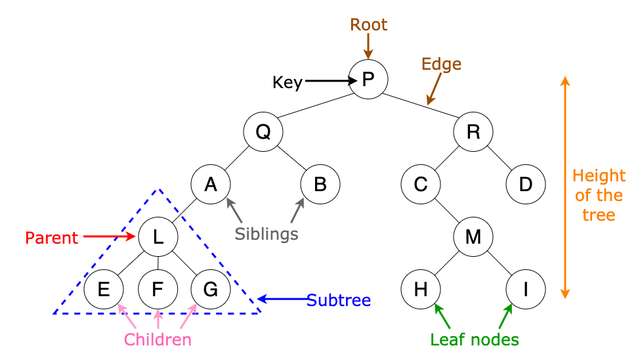 tree-data-structure