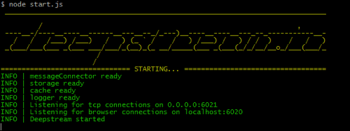 The output from deepstream's startup console